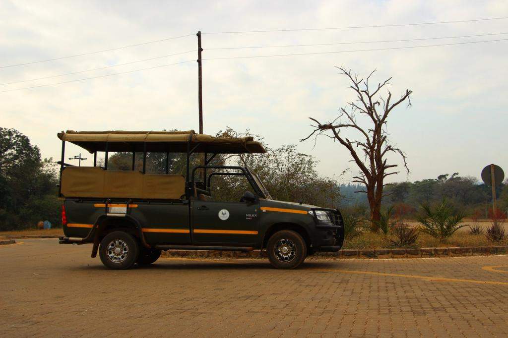 ai909.photobucket.com_albums_ac300_ploferreira_Kruger_202014_Kruger_Junho_20147.jpg