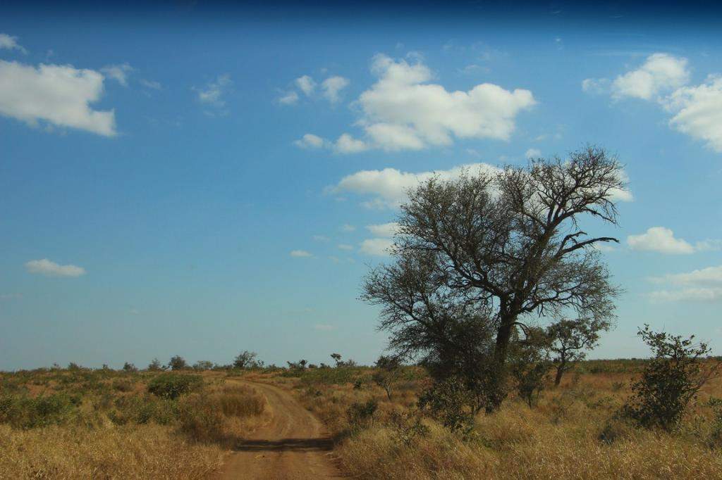 ai909.photobucket.com_albums_ac300_ploferreira_Kruger_202014_Kruger_Junho_201472.jpg