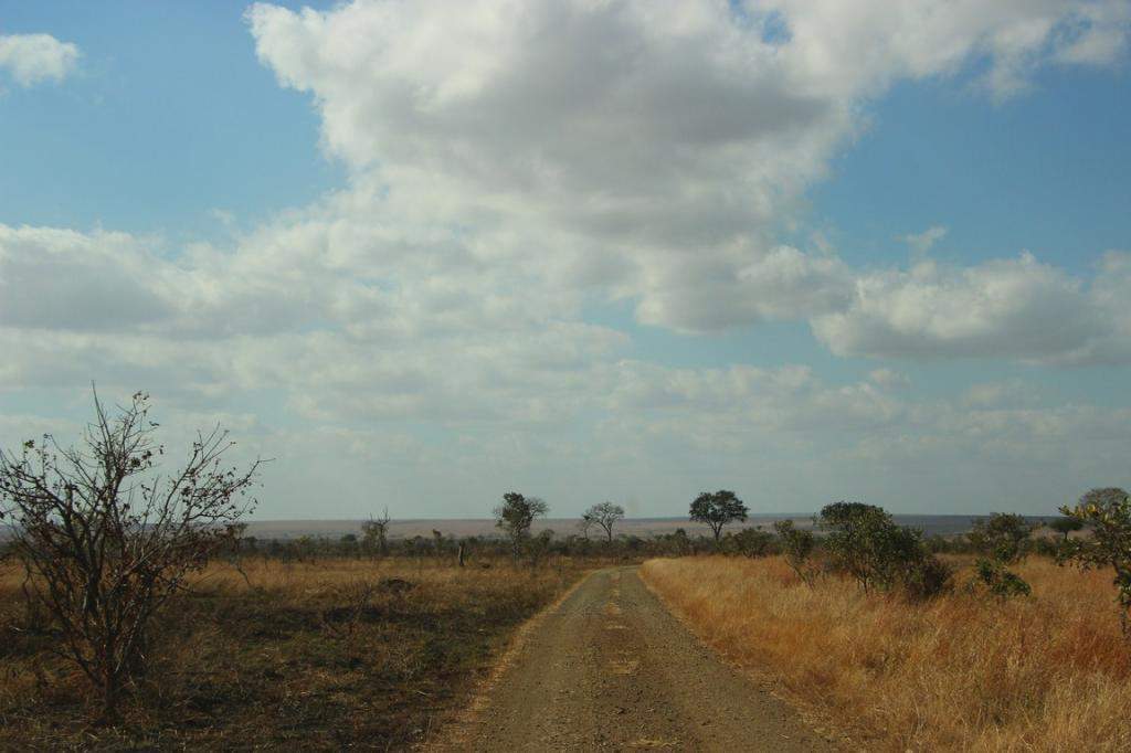 ai909.photobucket.com_albums_ac300_ploferreira_Kruger_202014_Kruger_Junho_201473.jpg