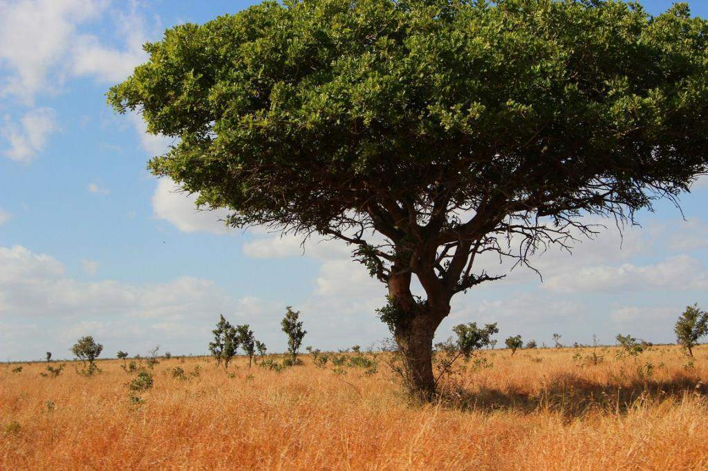 ai909.photobucket.com_albums_ac300_ploferreira_Kruger_202014_Kruger_Junho_201475.jpg
