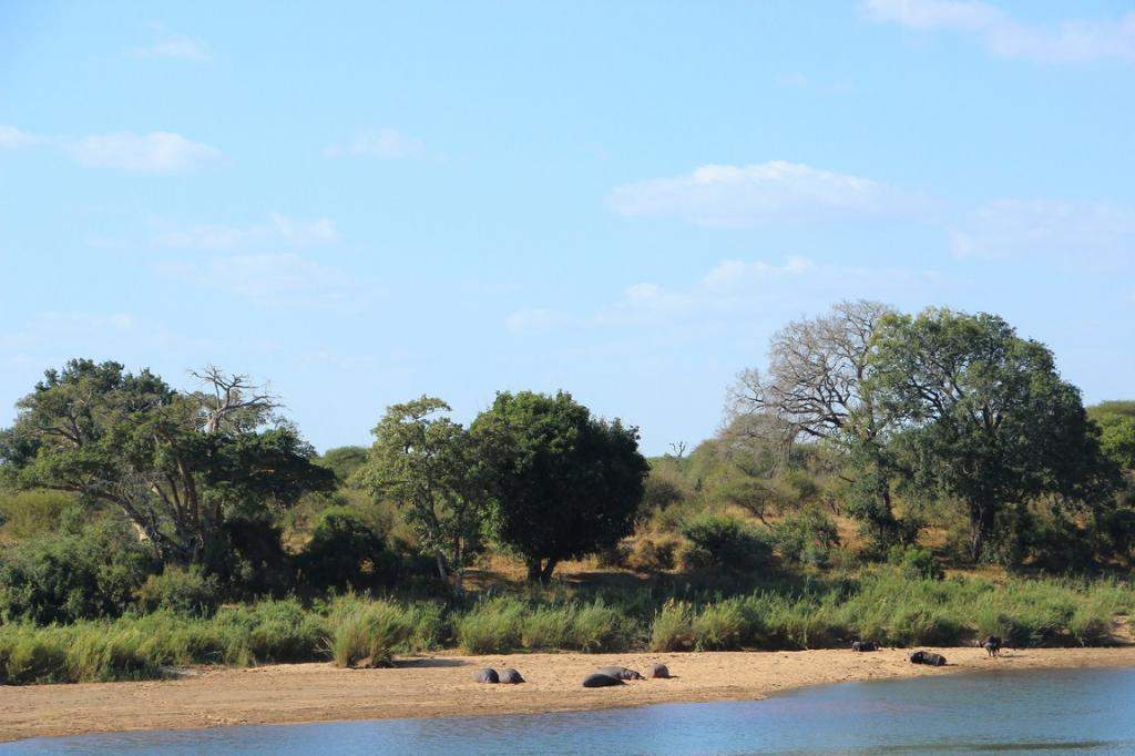 ai909.photobucket.com_albums_ac300_ploferreira_Kruger_202014_Kruger_Junho_201499.jpg