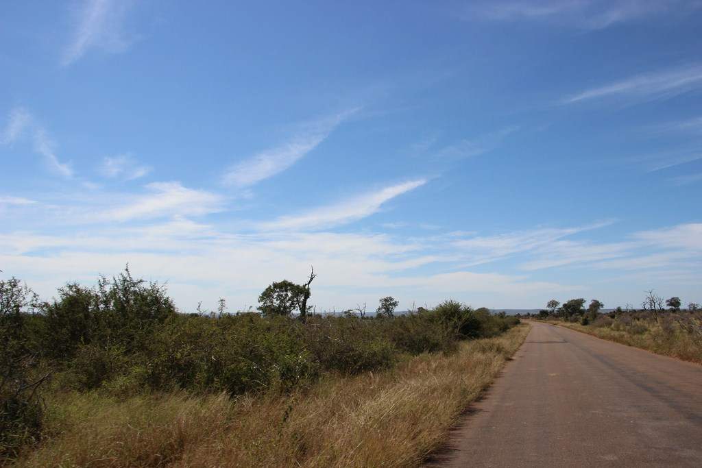 ai909.photobucket.com_albums_ac300_ploferreira_Kruger_202014_Report11.jpg