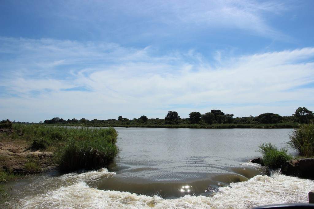 ai909.photobucket.com_albums_ac300_ploferreira_Kruger_202014_Report19.jpg