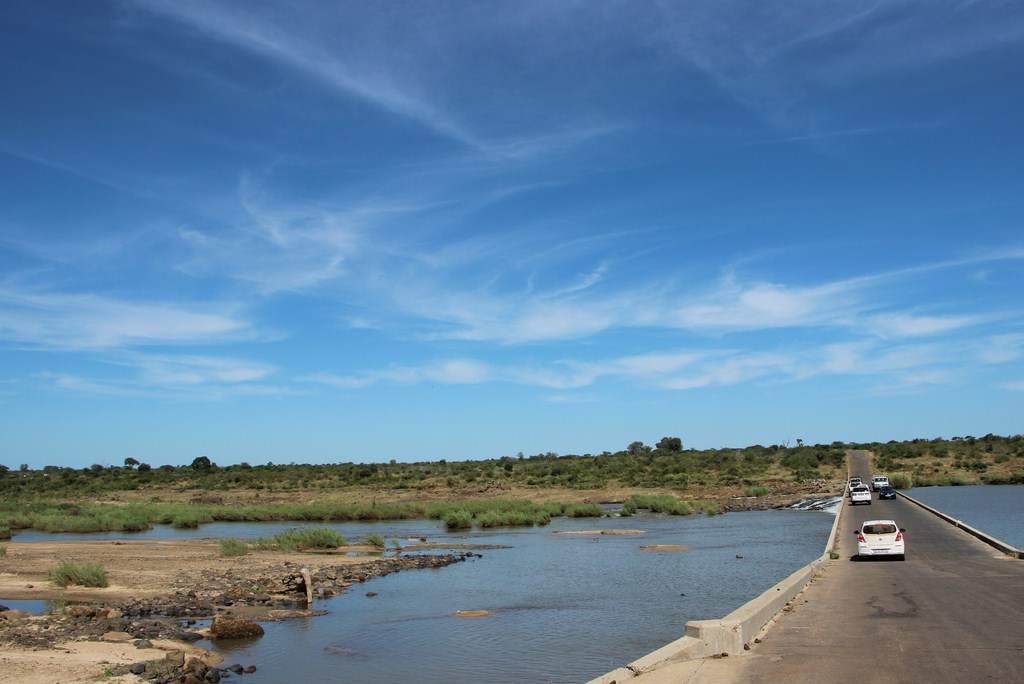 ai909.photobucket.com_albums_ac300_ploferreira_Kruger_202014_Report22.jpg