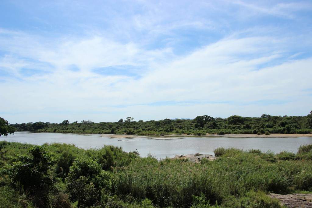 ai909.photobucket.com_albums_ac300_ploferreira_Kruger_202014_Report25.jpg