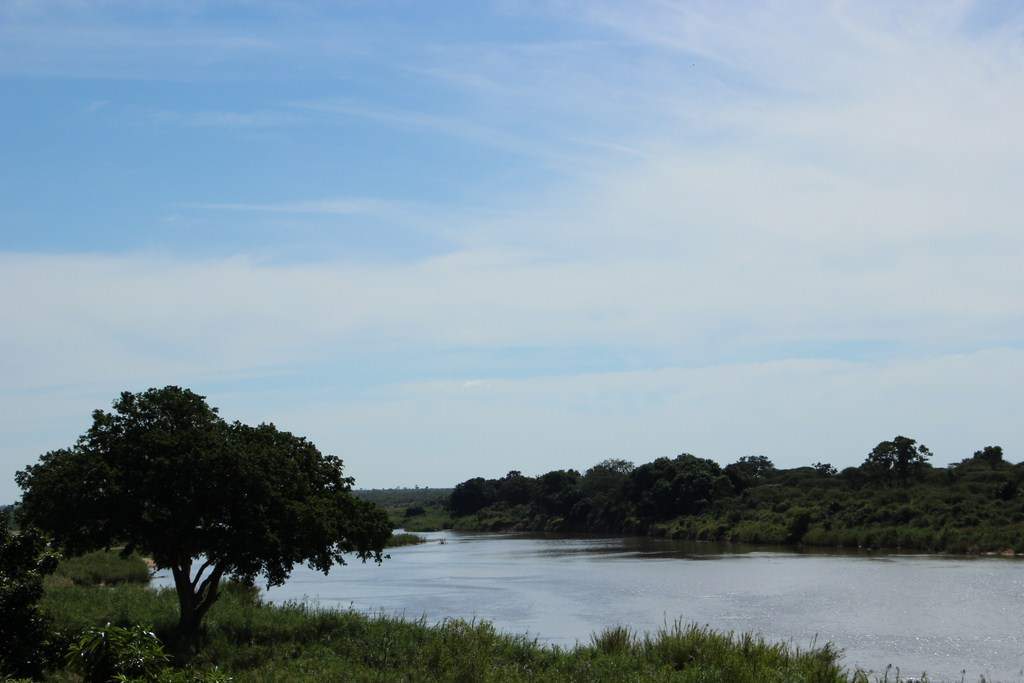 ai909.photobucket.com_albums_ac300_ploferreira_Kruger_202014_Report27.jpg