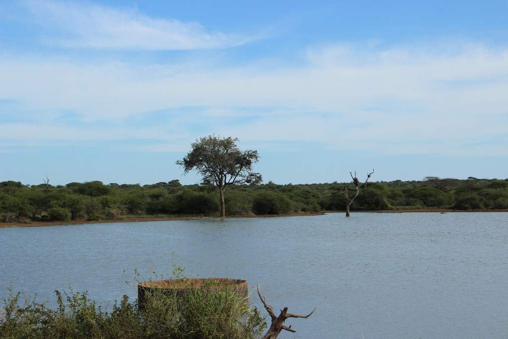 ai909.photobucket.com_albums_ac300_ploferreira_Kruger_202014_Report36.jpg