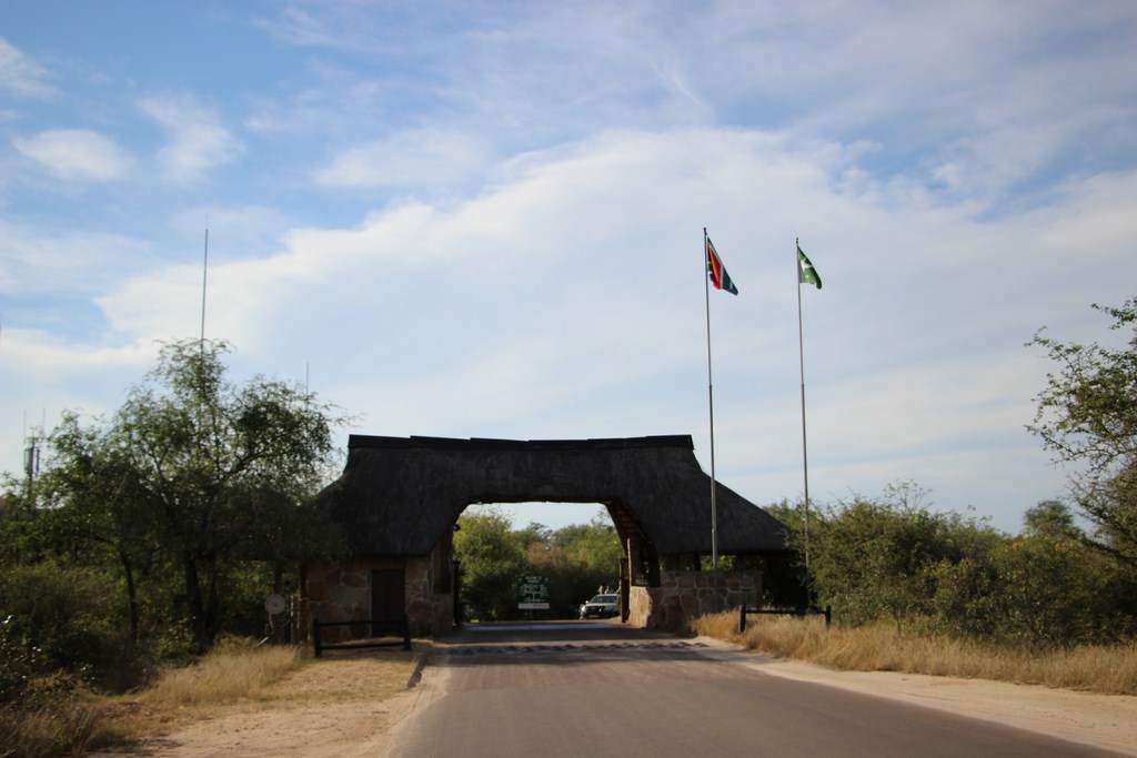 ai909.photobucket.com_albums_ac300_ploferreira_Kruger_202014_Report49.jpg