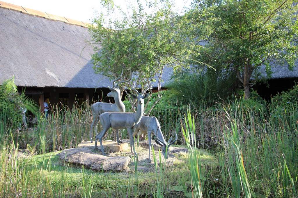 ai909.photobucket.com_albums_ac300_ploferreira_Kruger_202014_Report52.jpg