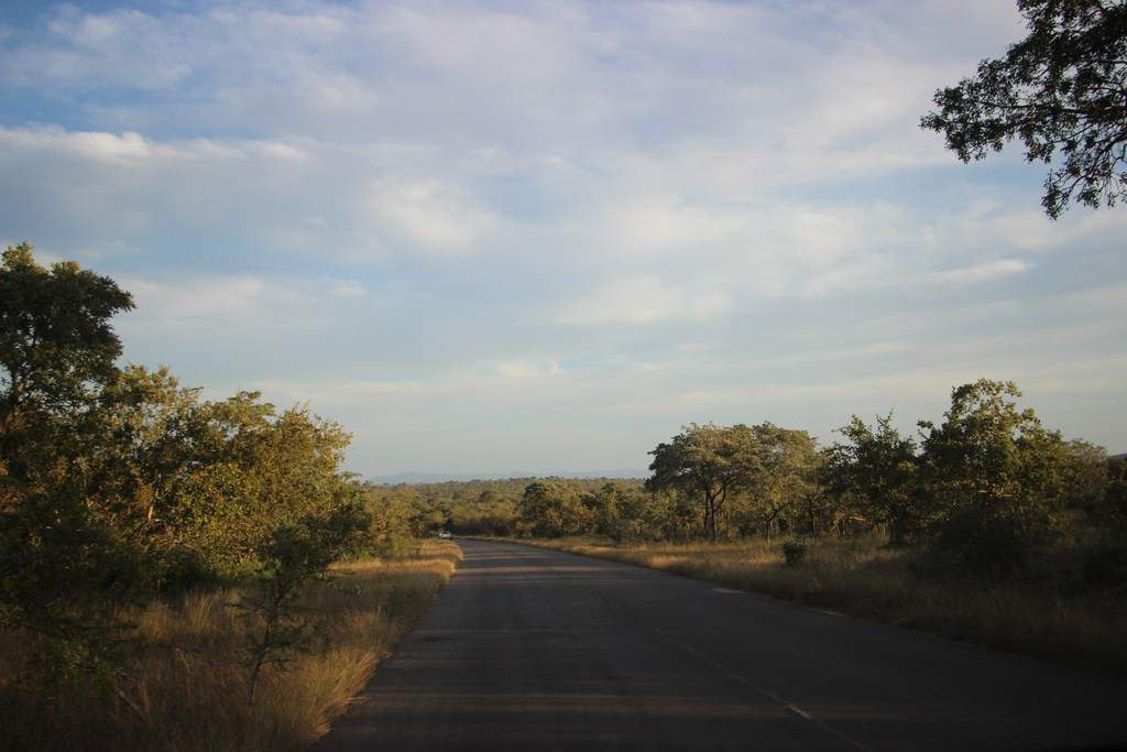 ai909.photobucket.com_albums_ac300_ploferreira_Kruger_202014_Report64.jpg