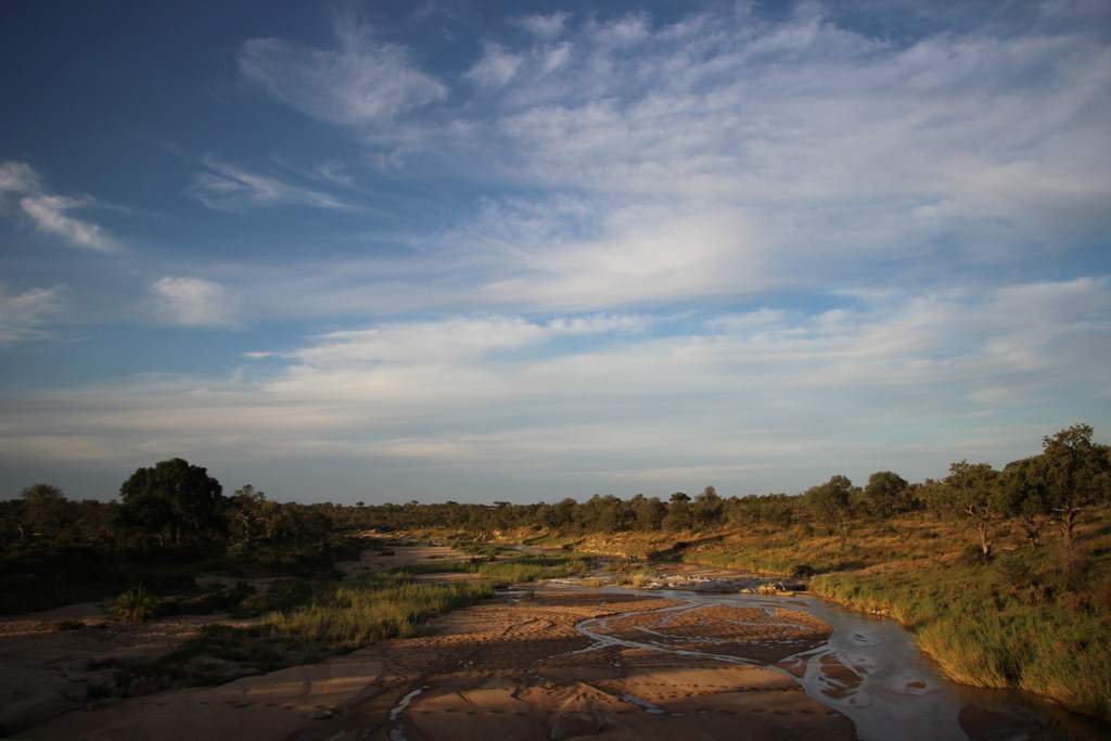 ai909.photobucket.com_albums_ac300_ploferreira_Kruger_202014_Report65.jpg