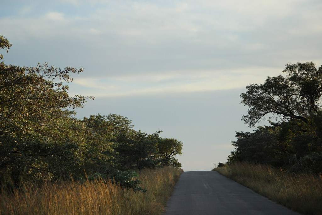 ai909.photobucket.com_albums_ac300_ploferreira_Kruger_202014_Report74.jpg