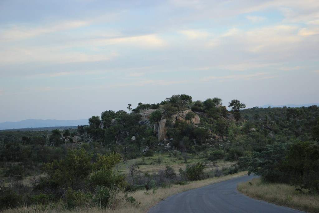 ai909.photobucket.com_albums_ac300_ploferreira_Kruger_202014_Report75.jpg