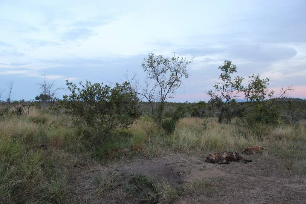 ai909.photobucket.com_albums_ac300_ploferreira_Kruger_202014_Report86.jpg
