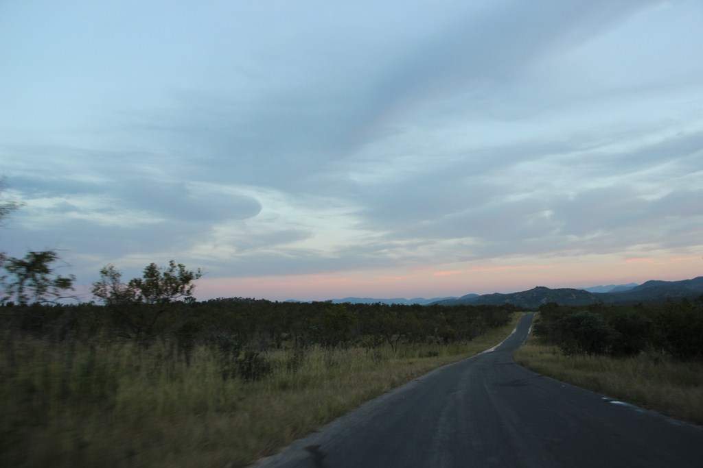 ai909.photobucket.com_albums_ac300_ploferreira_Kruger_202014_Report87.jpg