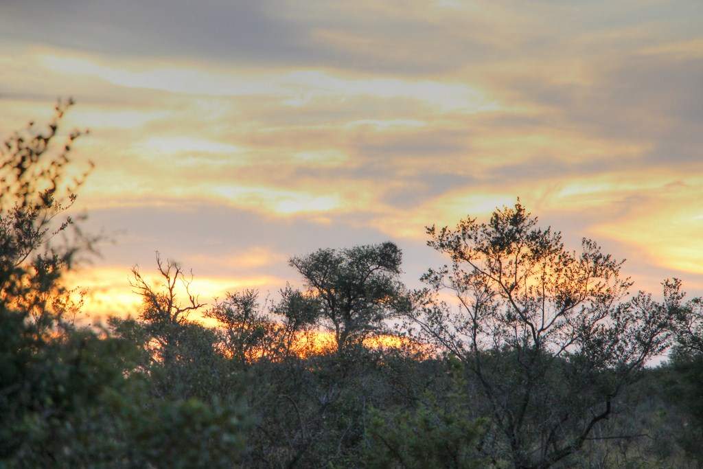 ai909.photobucket.com_albums_ac300_ploferreira_Kruger_202014_Report89.jpg
