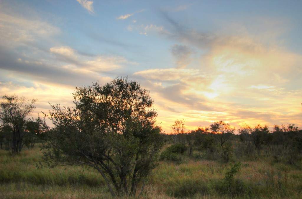 ai909.photobucket.com_albums_ac300_ploferreira_Kruger_202014_Report90.jpg