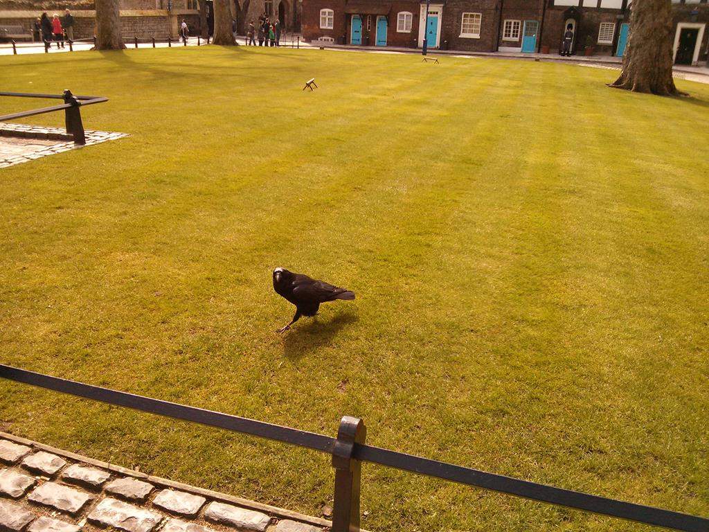 ai909.photobucket.com_albums_ac300_ploferreira_Londres_202013_Londres396.jpg