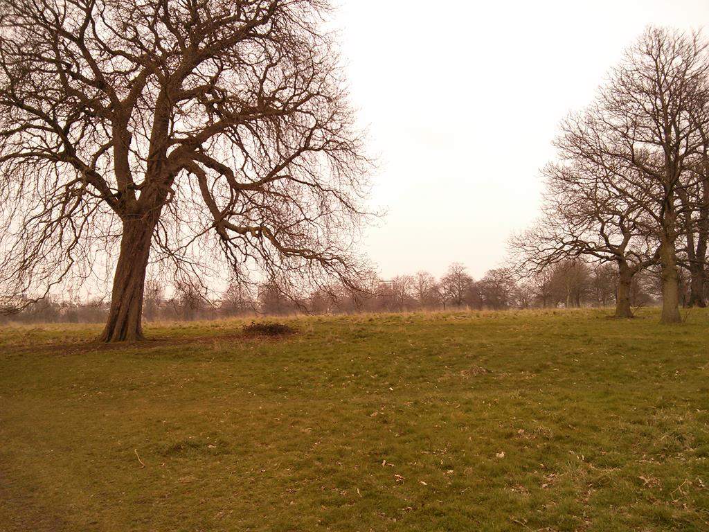 ai909.photobucket.com_albums_ac300_ploferreira_Londres_202013_Londres51.jpg