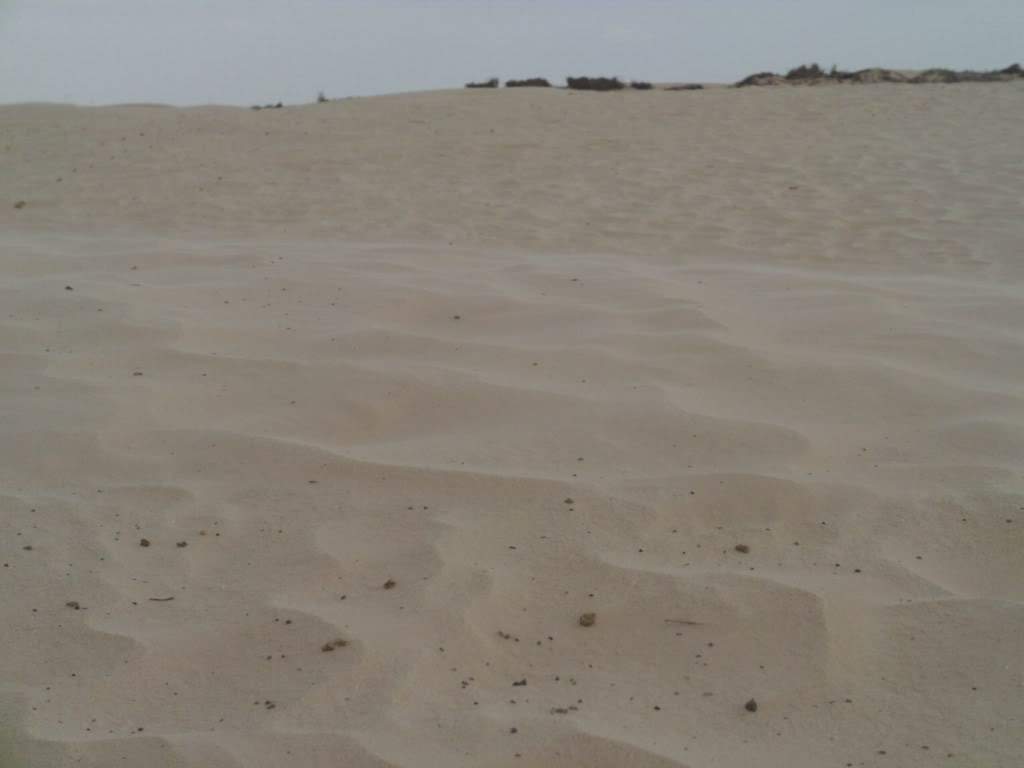 ai909.photobucket.com_albums_ac300_ploferreira_Tunisa_202009_HPIM07851024x768.jpg