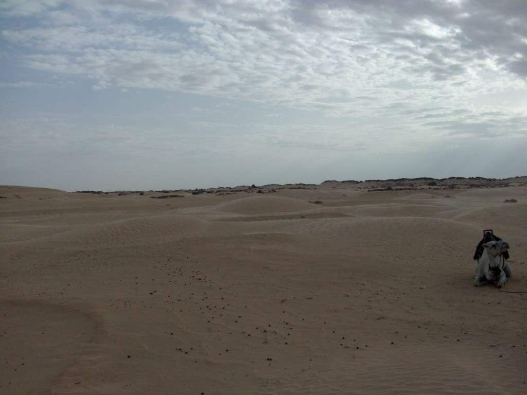 ai909.photobucket.com_albums_ac300_ploferreira_Tunisa_202009_HPIM07861024x768.jpg