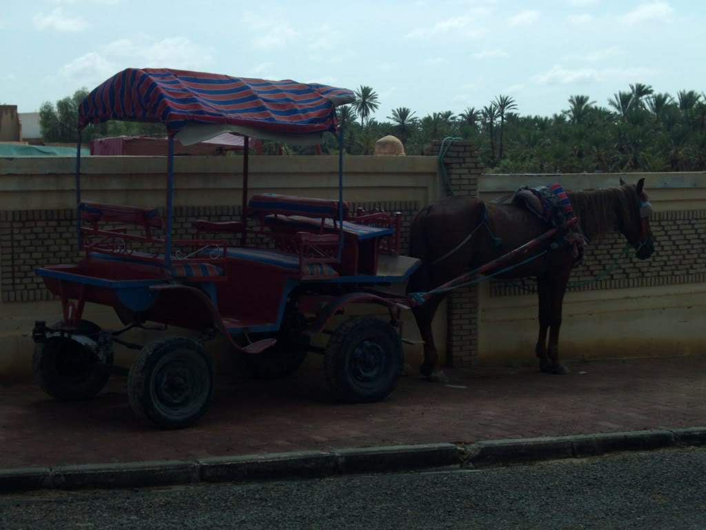 ai909.photobucket.com_albums_ac300_ploferreira_Tunisa_202009_HPIM08651024x768.jpg