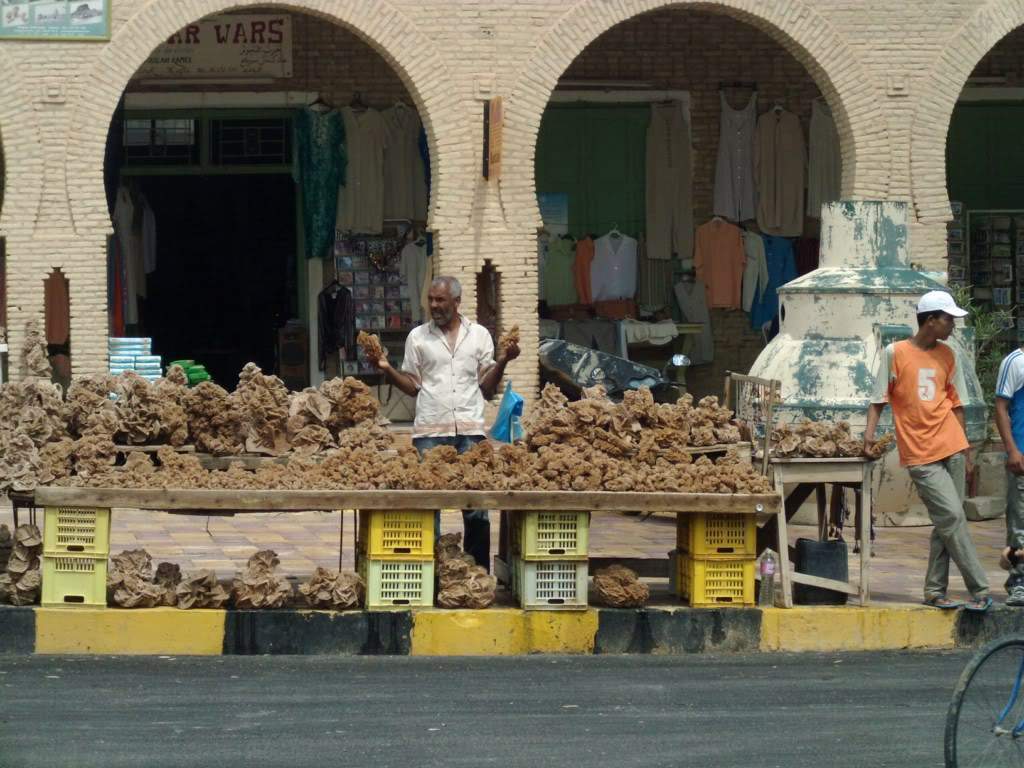 ai909.photobucket.com_albums_ac300_ploferreira_Tunisa_202009_HPIM08911024x768.jpg