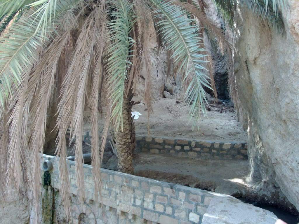ai909.photobucket.com_albums_ac300_ploferreira_Tunisa_202009_HPIM09731024x768.jpg