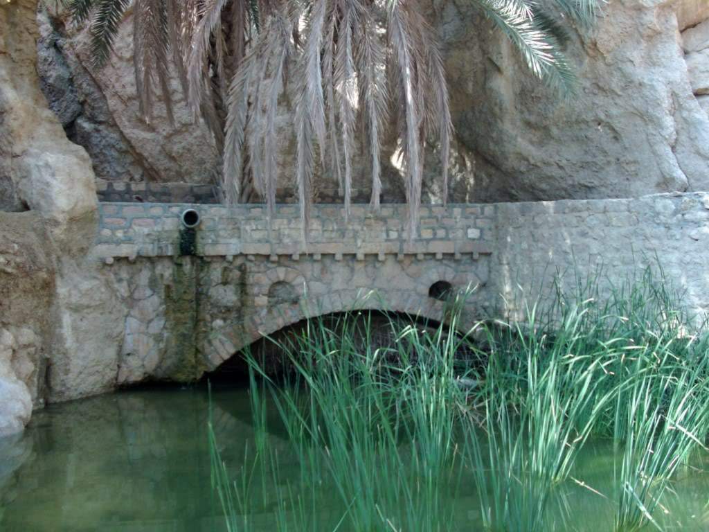 ai909.photobucket.com_albums_ac300_ploferreira_Tunisa_202009_HPIM09761024x768.jpg