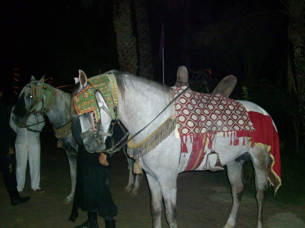ai909.photobucket.com_albums_ac300_ploferreira_Tunisa_202009_HPIM1055.jpg