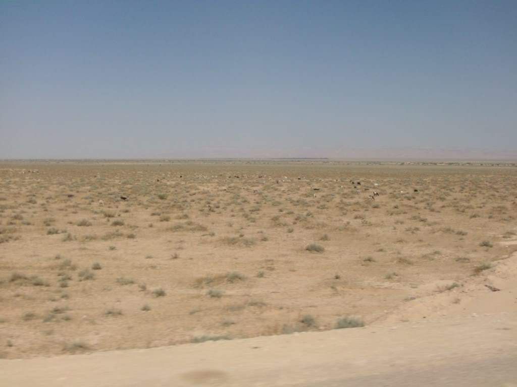 ai909.photobucket.com_albums_ac300_ploferreira_Tunisa_202009_HPIM1118.jpg