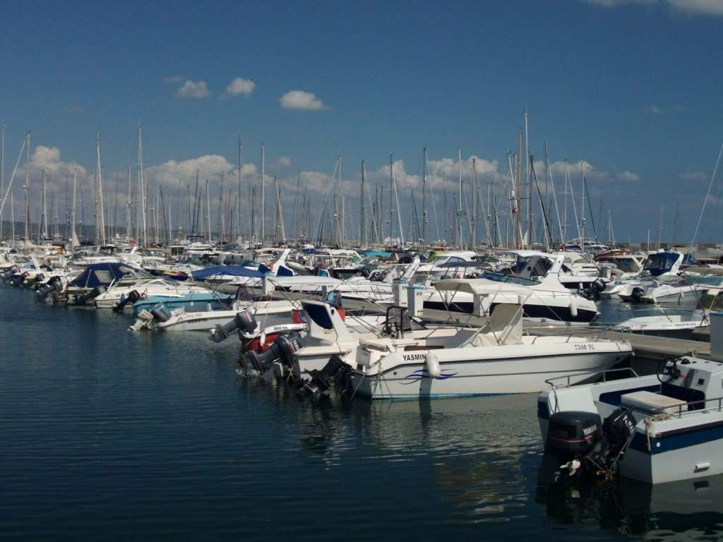 ai909.photobucket.com_albums_ac300_ploferreira_Tunisa_202009_HPIM1264.jpg