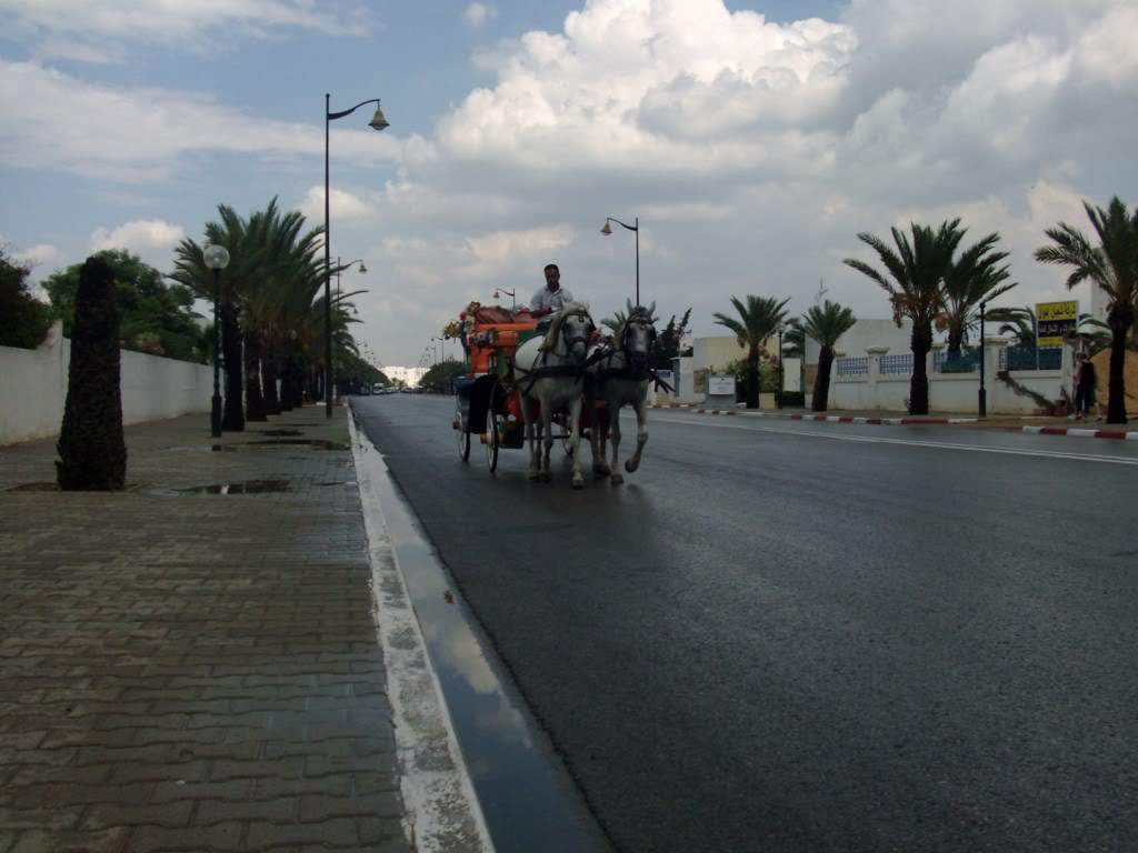 ai909.photobucket.com_albums_ac300_ploferreira_Tunisa_202009_HPIM1517.jpg