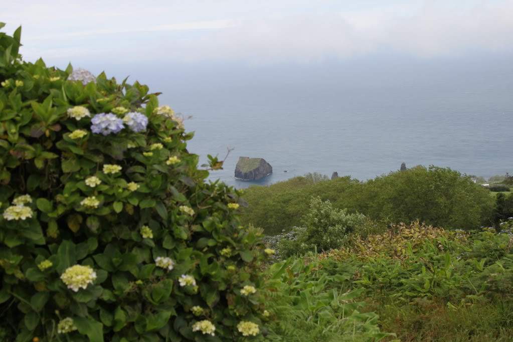 ai910.photobucket.com_albums_ac306_Correia69_Acores_20_202012_IMG_3853.jpg