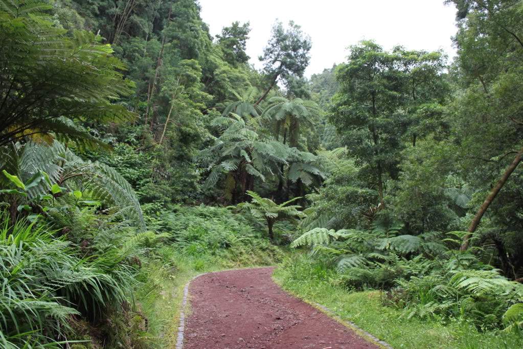 ai910.photobucket.com_albums_ac306_Correia69_Acores_20_202012_IMG_3976.jpg