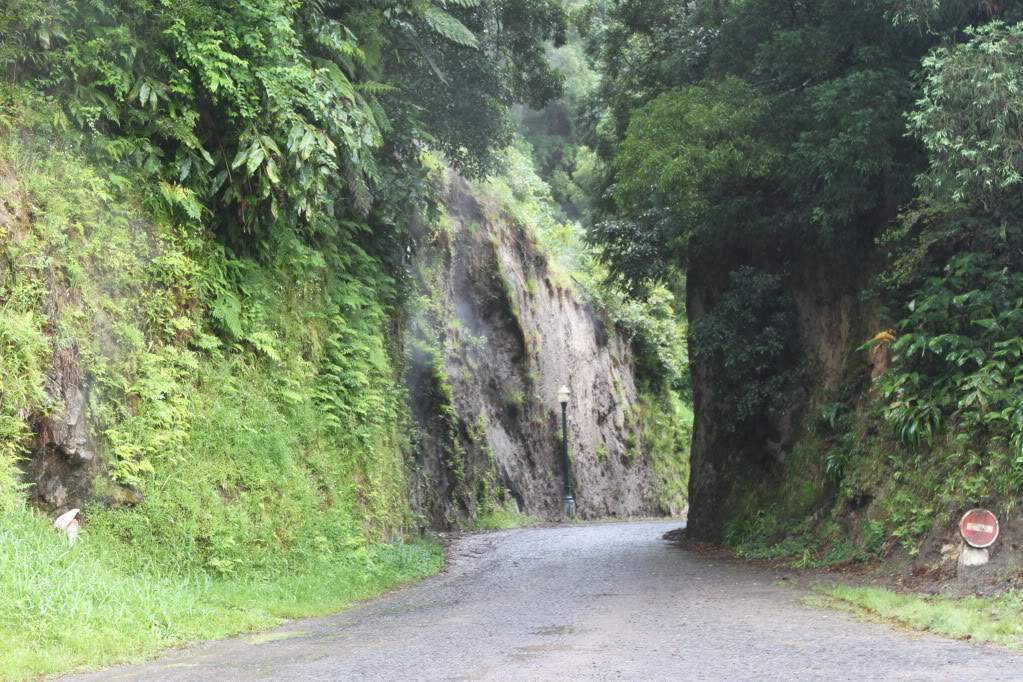 ai910.photobucket.com_albums_ac306_Correia69_Acores_20_202012_IMG_4077.jpg
