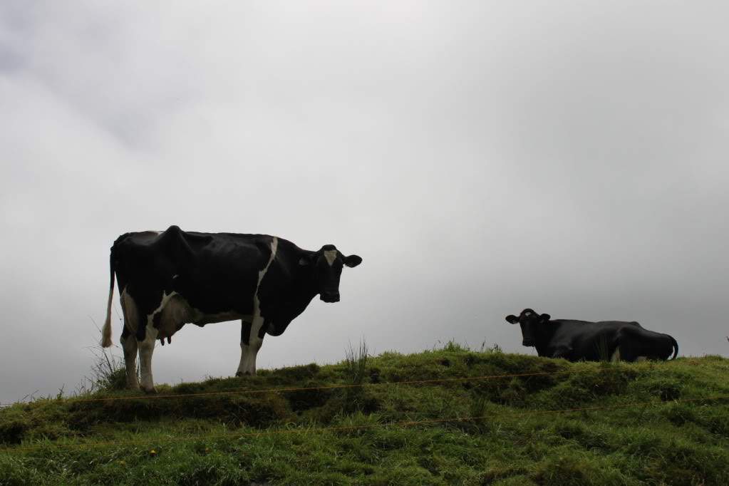 ai910.photobucket.com_albums_ac306_Correia69_Acores_20_202012_IMG_4093.jpg