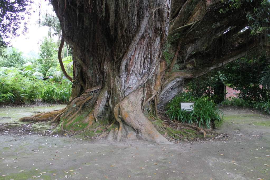 ai910.photobucket.com_albums_ac306_Correia69_Acores_20_202012_IMG_4125.jpg