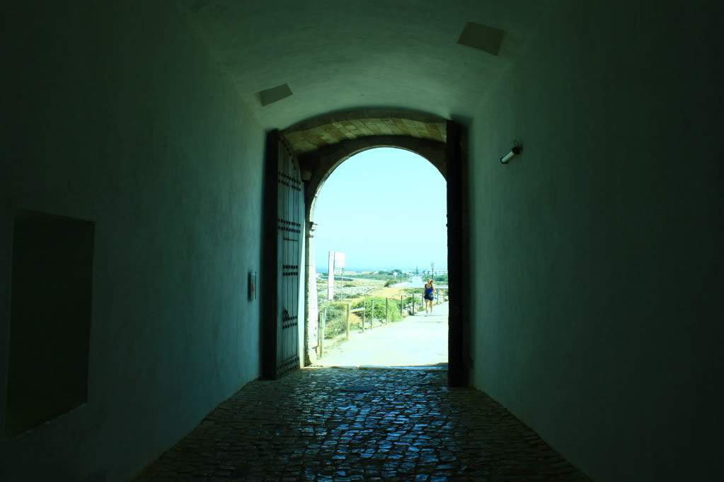 ai910.photobucket.com_albums_ac306_Correia69_Alentejo_20_202012_IMG_4269.jpg