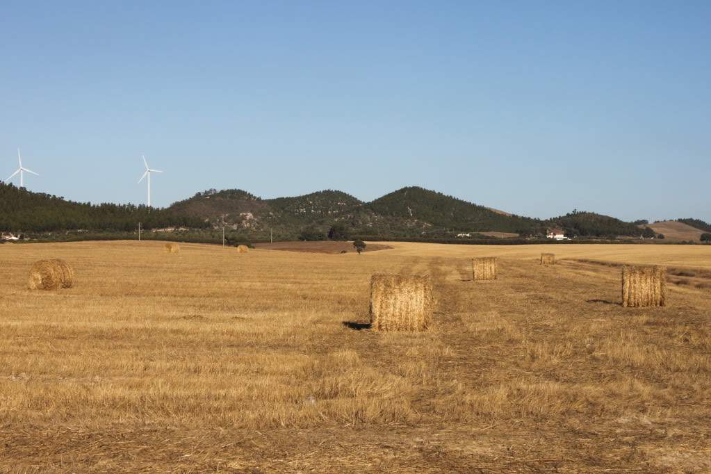 ai910.photobucket.com_albums_ac306_Correia69_Alentejo_20_20201ef855270b3ae2a3ac79168281f3e825b.jpg