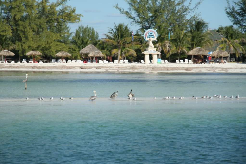 ai910.photobucket.com_albums_ac306_Correia69_Cayo_20Blanco_Cop8714ab2ca78ecb5a0c86c26445a82350.jpg