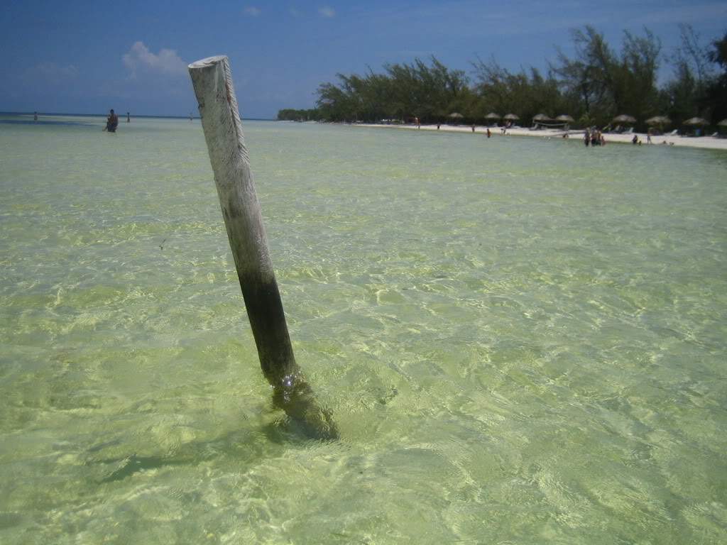 ai910.photobucket.com_albums_ac306_Correia69_Cayo_20Blanco_FER5947def34aefc71f214c55788b755ccc.jpg