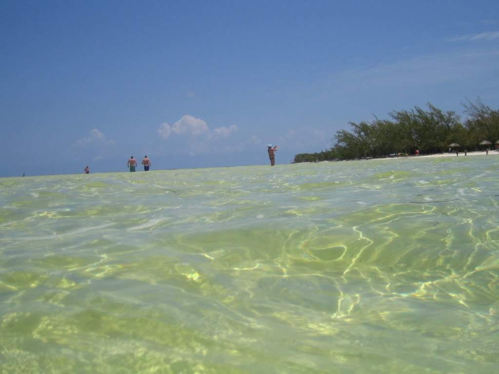 ai910.photobucket.com_albums_ac306_Correia69_Cayo_20Blanco_FERIASEMCUBA2011507.jpg
