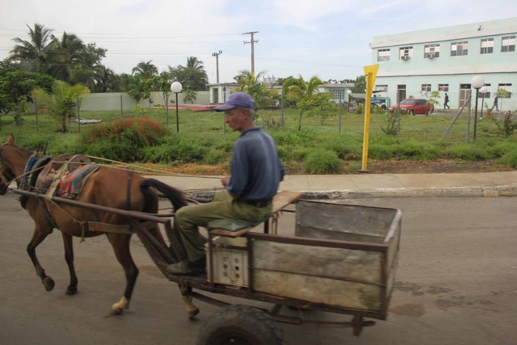 ai910.photobucket.com_albums_ac306_Correia69_Cienfuegos_20__20Cuba_FERIASEMCUBA2011275.jpg