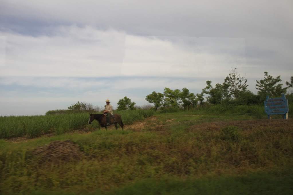 ai910.photobucket.com_albums_ac306_Correia69_Cienfuegos_20__20Cuba_FERIASEMCUBA2011276.jpg