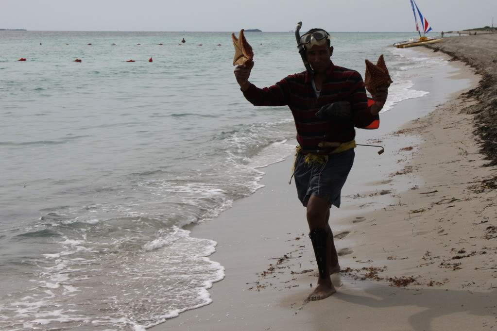 ai910.photobucket.com_albums_ac306_Correia69_CUBA_202011_FERIA2c707794fa91ed355f6df5a1c0c35211.jpg