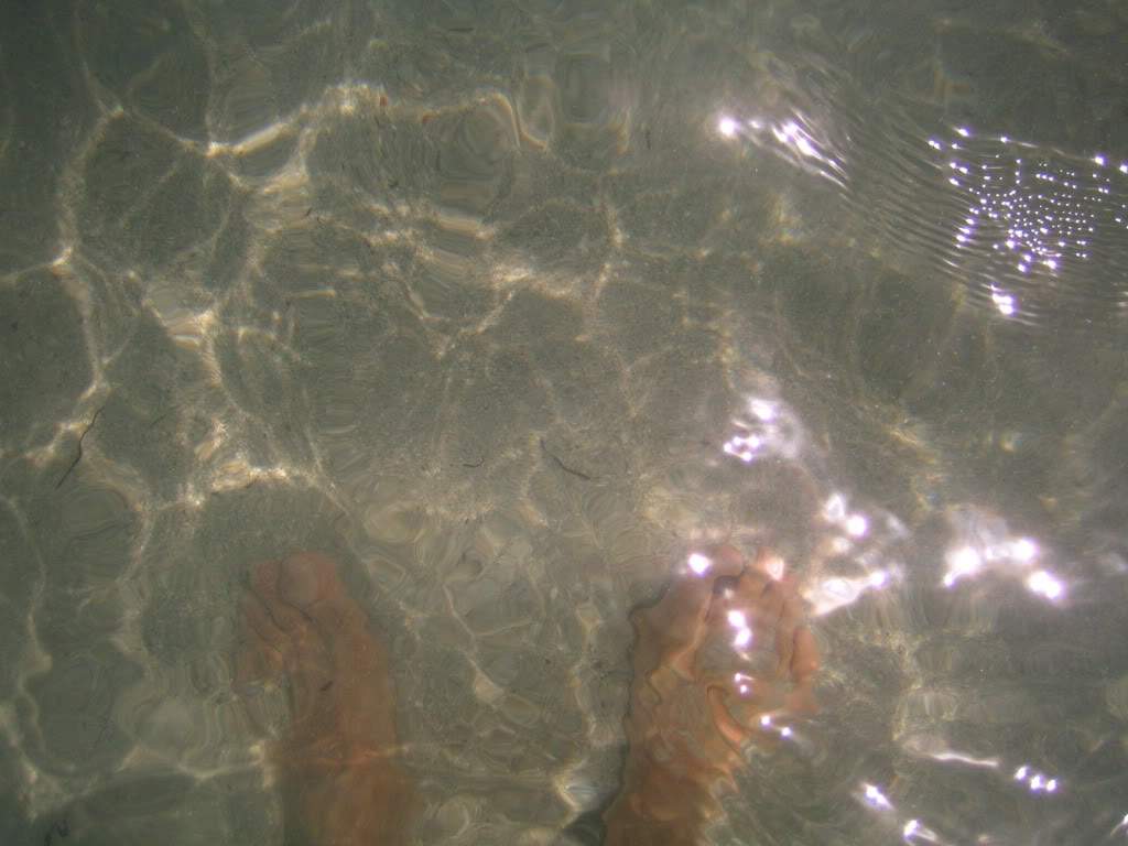 ai910.photobucket.com_albums_ac306_Correia69_CUBA_202011_FERIA5363d783e08adda769b3bc65b8de7a6b.jpg