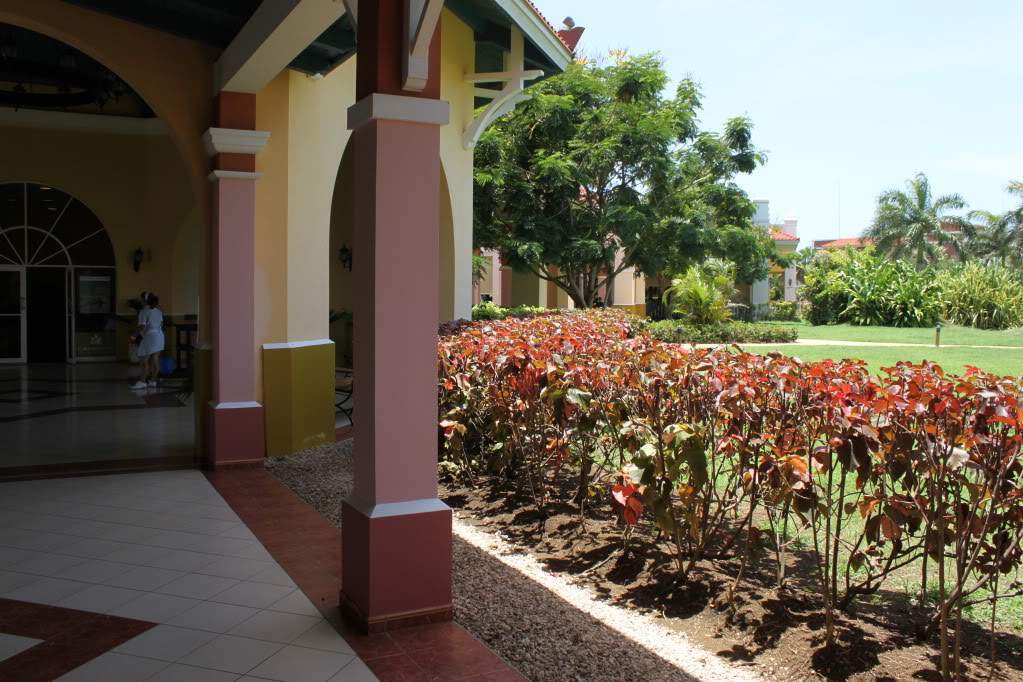 ai910.photobucket.com_albums_ac306_Correia69_CUBA_202011_FERIAb677ee27048639167e49bd27a8997c92.jpg