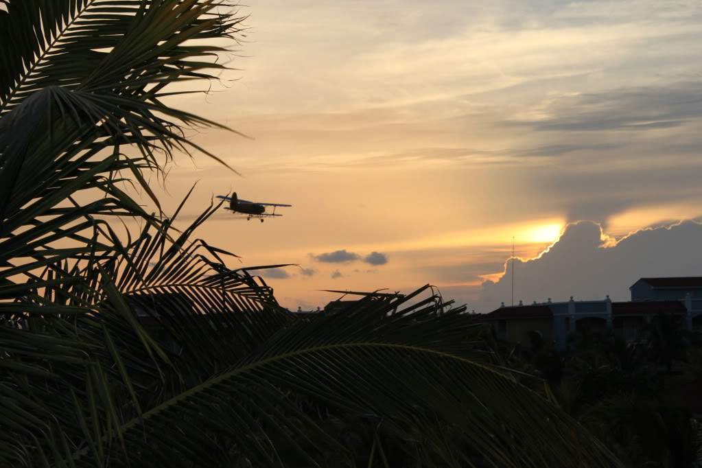 ai910.photobucket.com_albums_ac306_Correia69_CUBA_202011_FERIAedd3c14f6b57044e614dfcf172299846.jpg