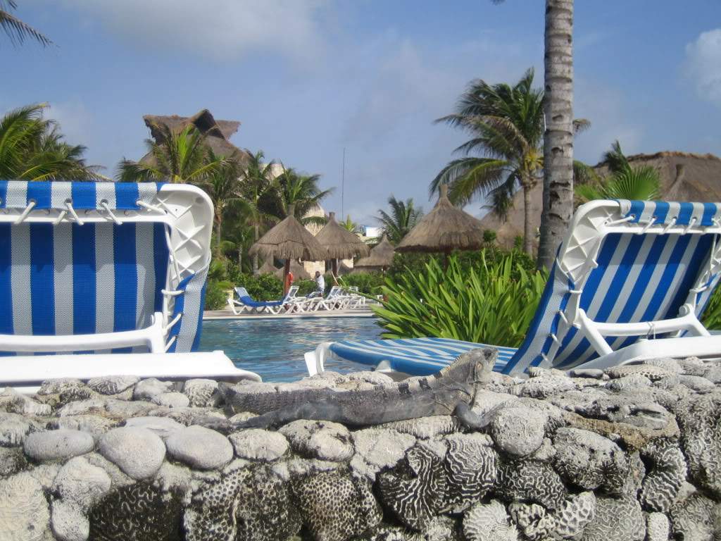 ai910.photobucket.com_albums_ac306_Correia69_IMG_2155.jpg_be73d81f1cb7af60ac9c5f23fee8c141.jpg